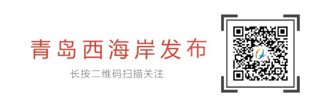 2023年有几所学校投入使用,新区内公办学校有哪些