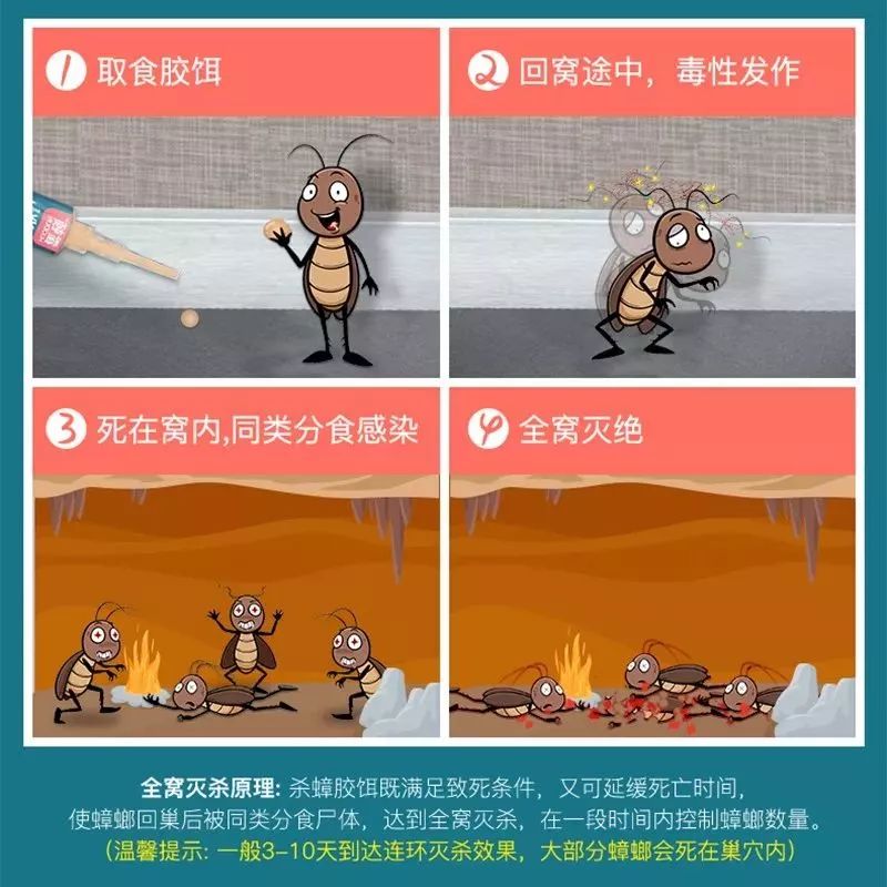 什么武器才能消灭蟑螂,制造消灭蟑螂的大型武器