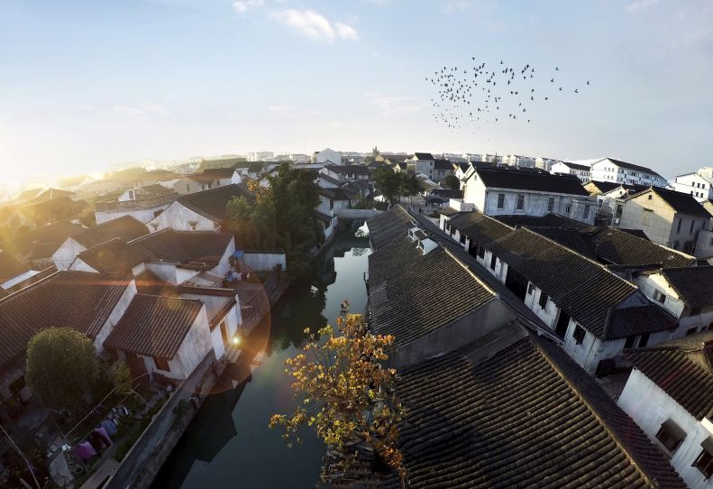 七月寻凉首选地！离上海车程仅1.5h，藏着座解暑小城！赏花赏水更赏情，藏着让人静下来的神奇魔力