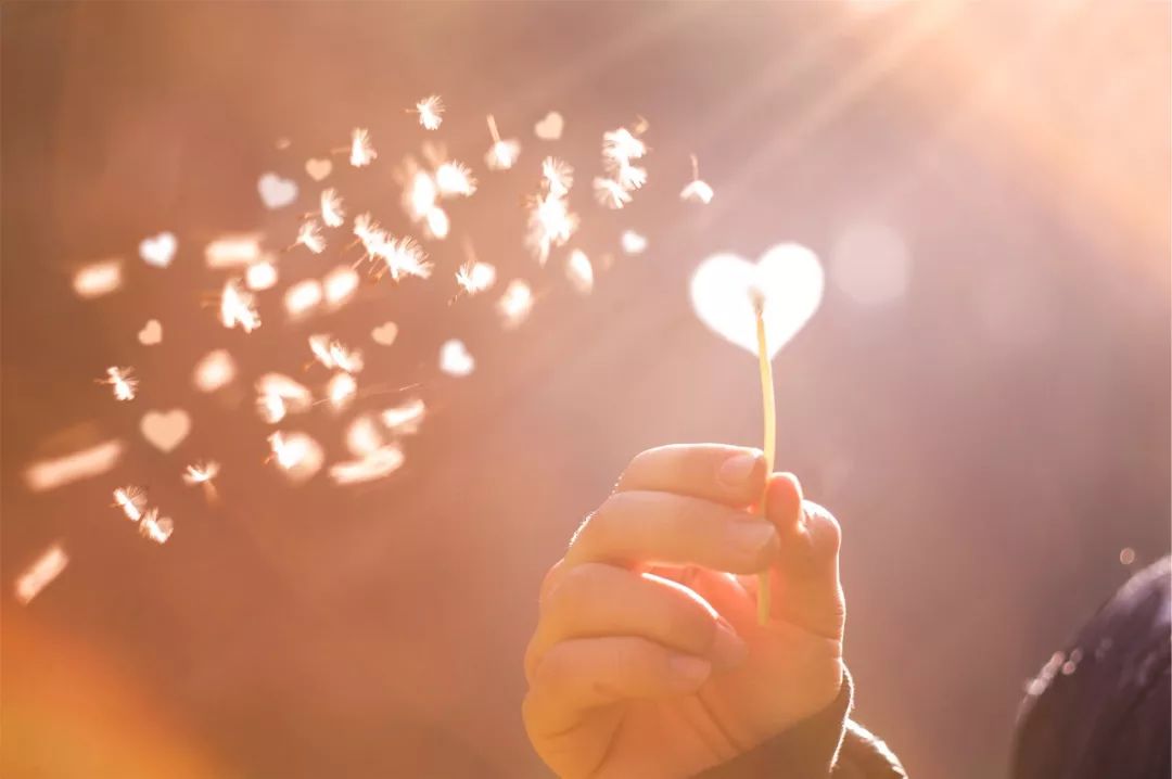 央视主持人郎永淳个人简历,郎永淳和妻子抗癌视频