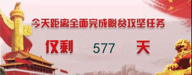 东西部扶贫协作,福州定西东西部扶贫协作书画展