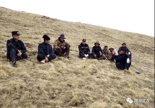 守卫虫草山民警,驻守海拔4800米护航虫草采挖