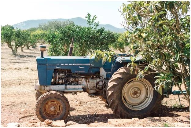 从狗仔到时装精从富婆到大明星|都爱这座神岛