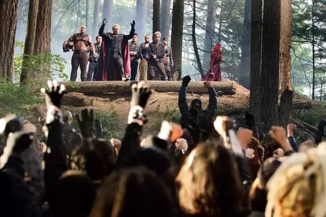 法鲨和一美是一对吗,一美和法鲨