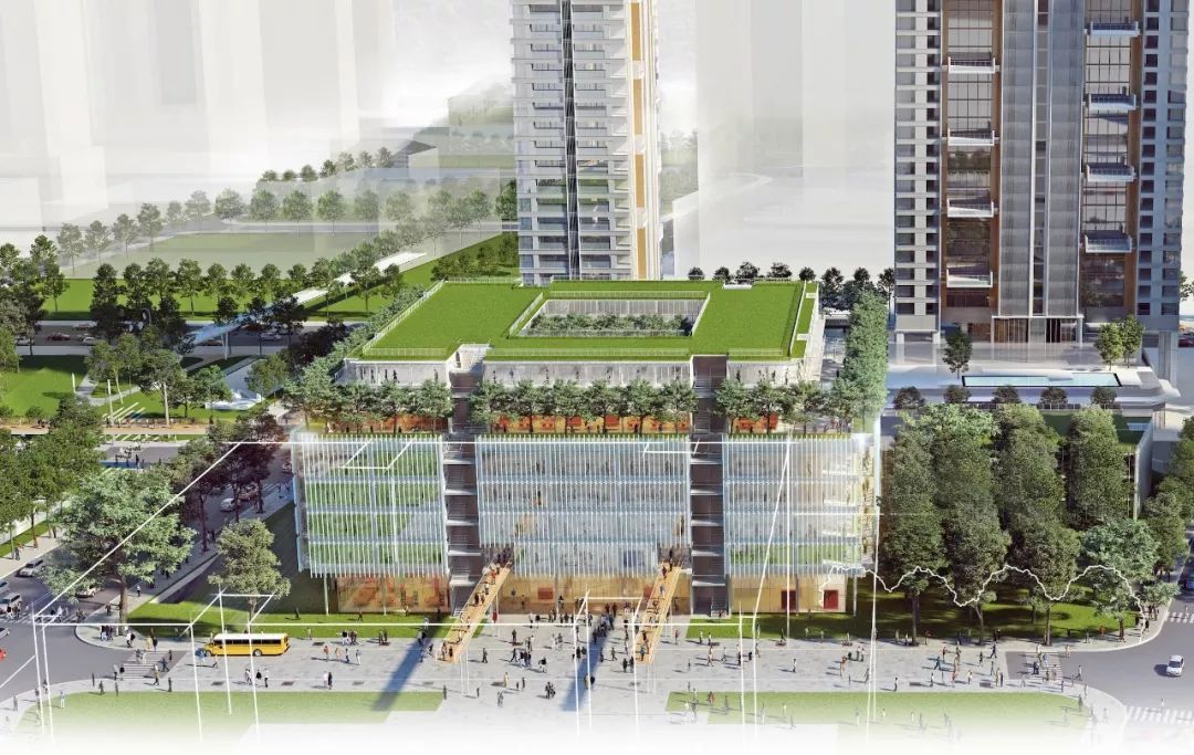 托福100、SAT1400只是最低标准?如何逃离华裔学生竞争怪圈