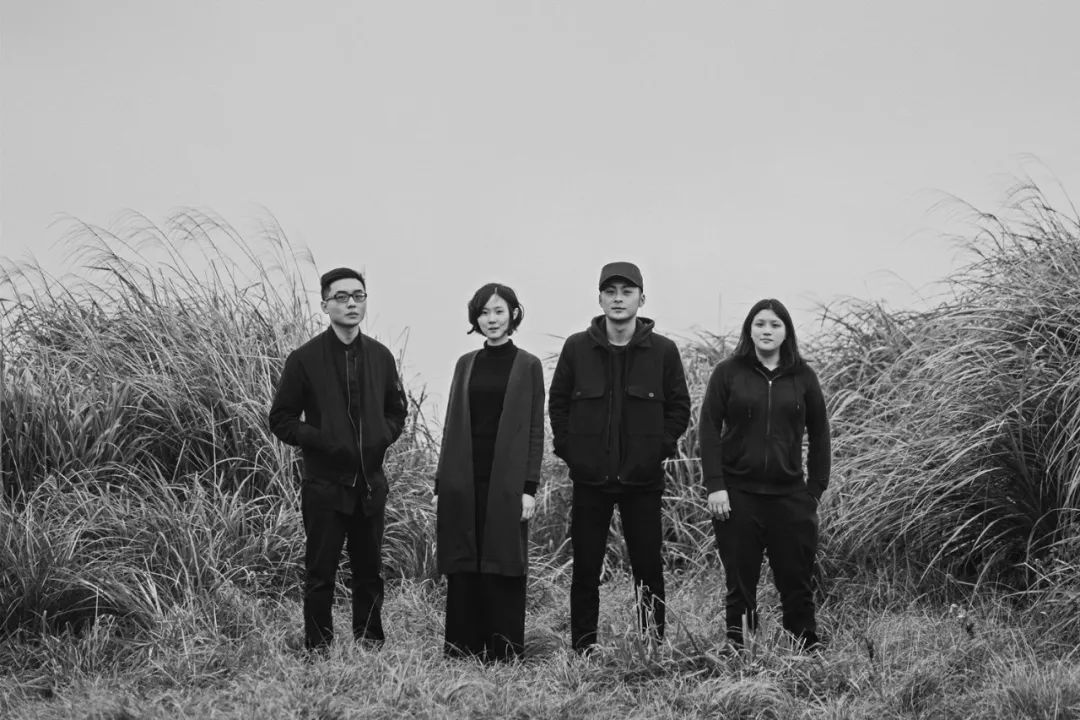 乐队的夏天大张伟,乐队的春天高虎