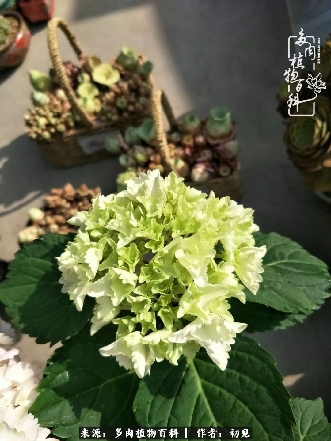 紧张的高三生活也需要适度的放松,紧张焦虑高考