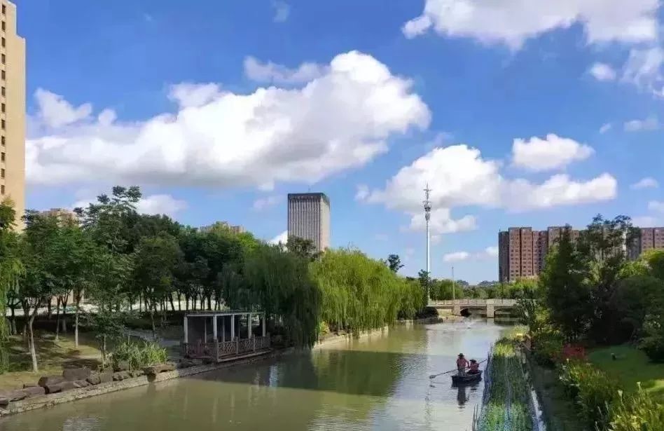 宁波中医院体检报告,宁波新诚体检报告查询