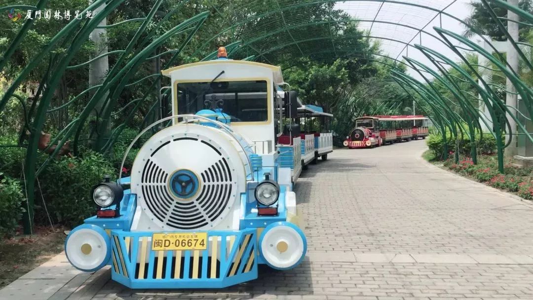 厦门适合带孩子去玩的地方推荐,厦门6月份哪里好玩