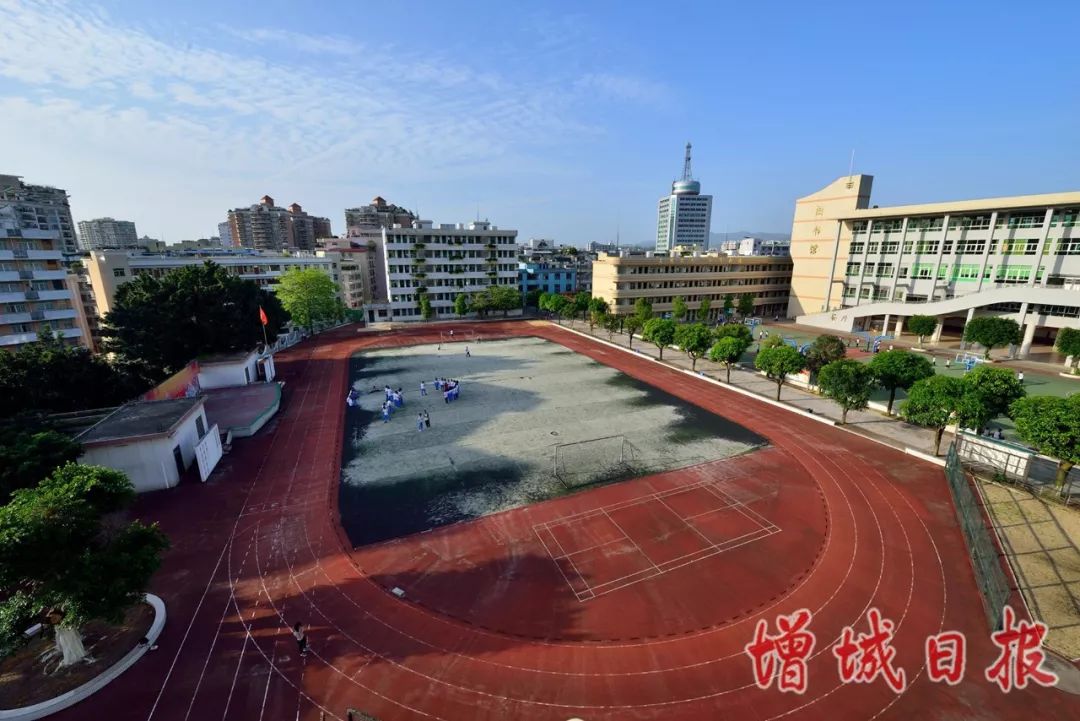 60张照片回忆成长,60多张老照片的回忆