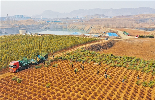 “工业疮疤”成绿地！唐山登上《经济日报》头条