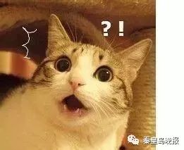 日本禁售的眼药水是哪个牌子,4款网红眼药水真的安全好用吗