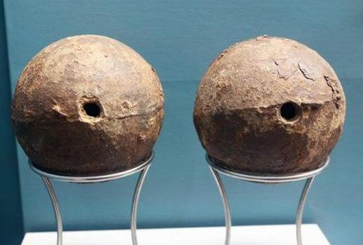 纳尼有假的吗,世界上真的有炮弹树吗