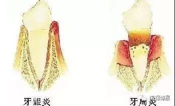 共享大医生养生知识,共享医疗存在问题和对策