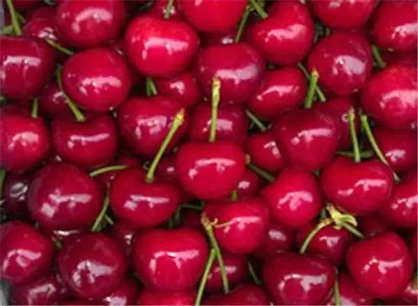 这几种水果再贵也要舍得买来吃,8种营养价格高的水果