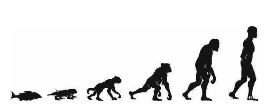 跳蚤被国王当成宠物来养,养个跳蚤当宠物