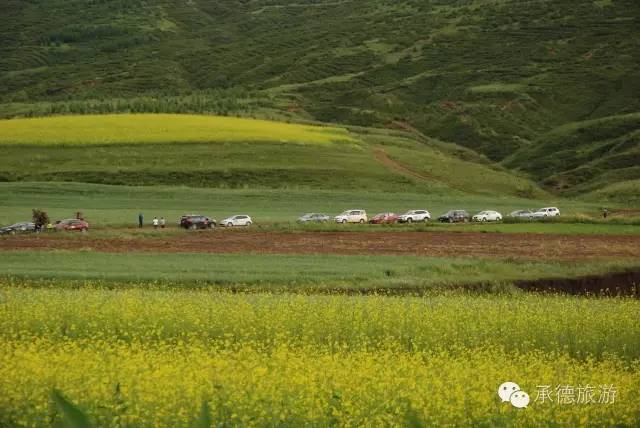坝上草原深度游览,内蒙古坝上草原之旅