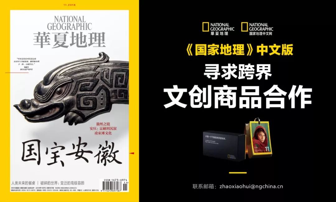 濒临灭绝的野生动物表演,动物表演的背后有多残忍