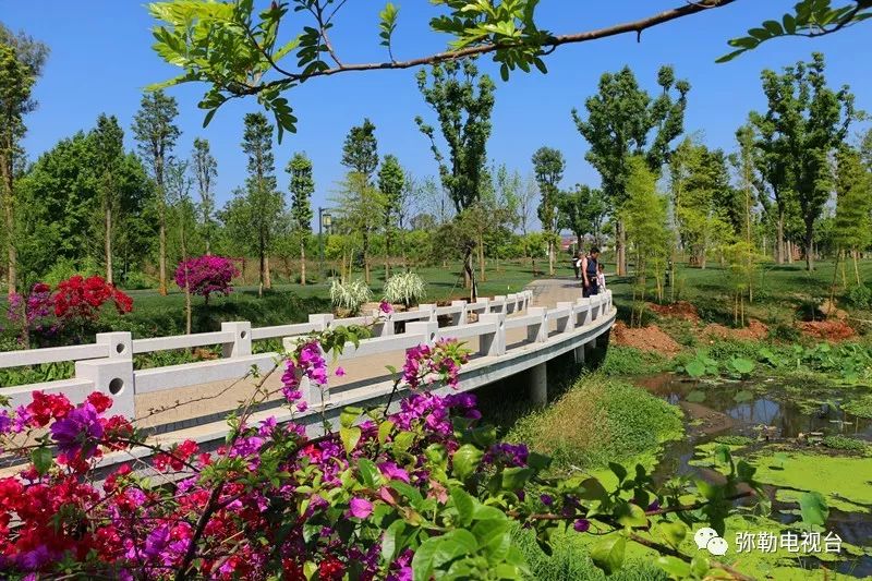 弥勒美食必吃推荐,云南弥勒美食野生菌