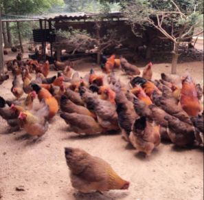 广州花都融创文旅城攻略,广州融创文旅城春节