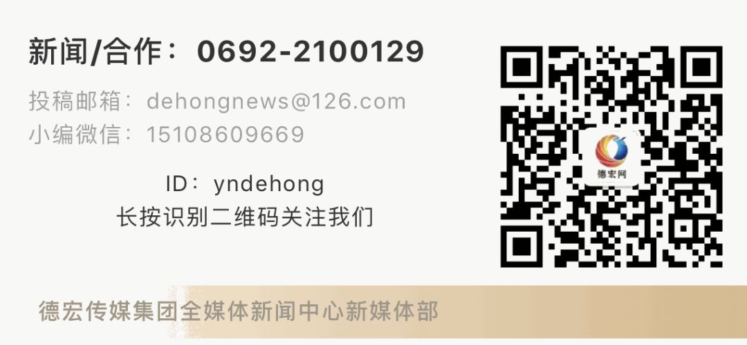 云南自贸区德宏片区地图,德宏盈江自贸区