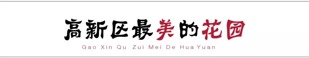 请回答2017,请回答2020总结