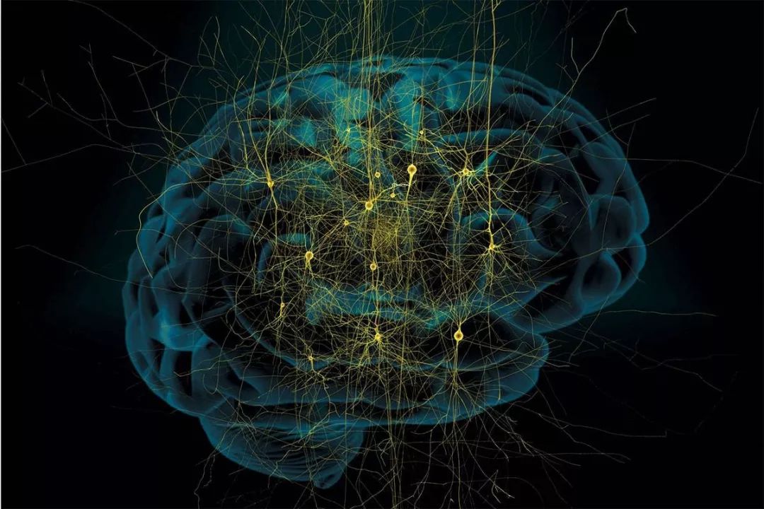 人类大脑非常的聪明和强大,人类的大脑充满智慧