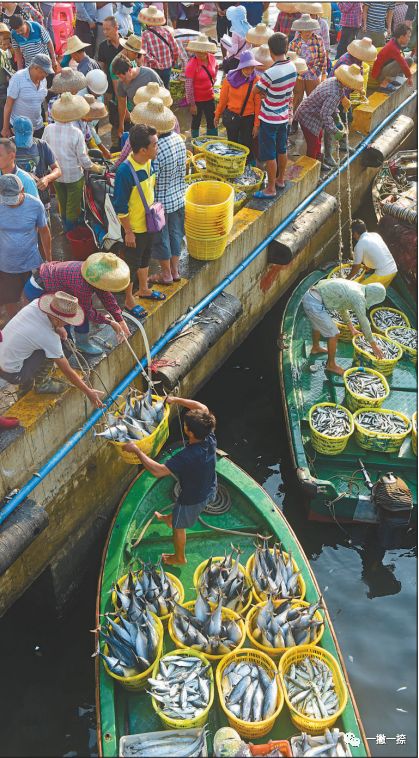 人民日报最经典照片,人民日报最惊艳的图片