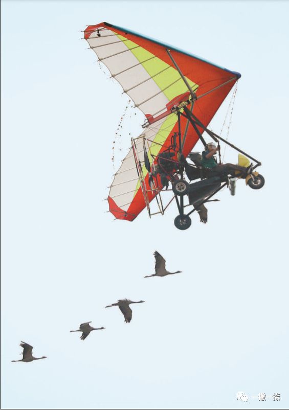 人民日报最经典照片,人民日报最惊艳的图片