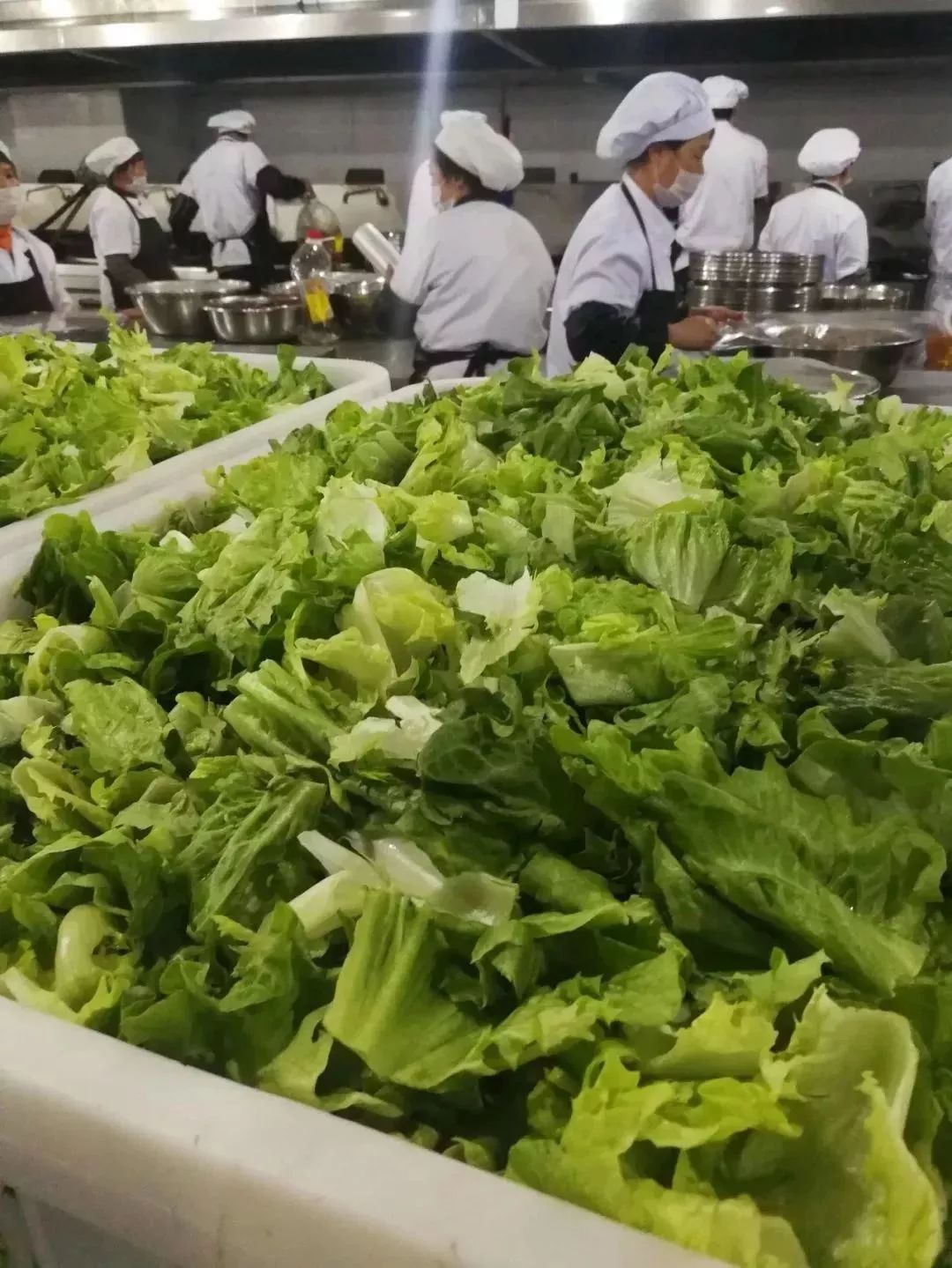 成实外雅安校区为什么选择直升,成实外学校雅安校区费用