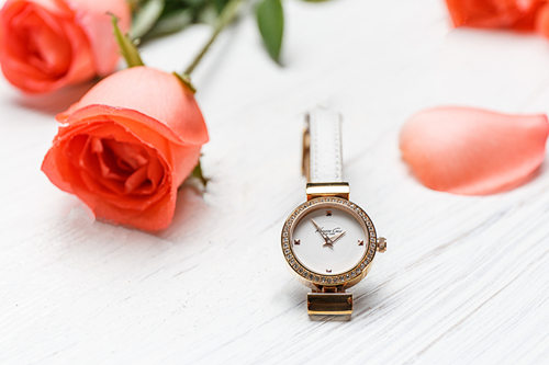 女士手表推荐,女士适合戴什么品牌的手表