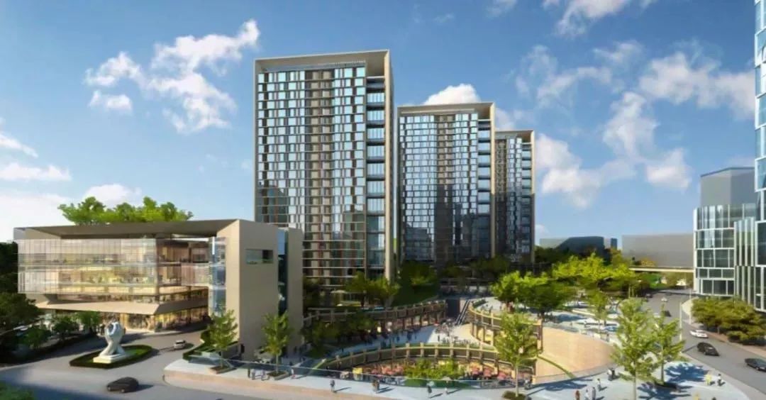 广州帝王蟹去哪买,番禺帝王蟹