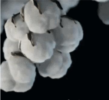 无痕裤为什么无痕,内衣裤处瘙痒小妙招