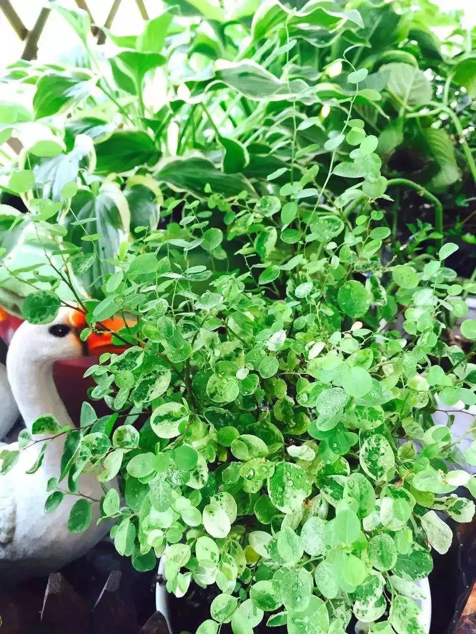 打造美好幸福的家,打造一片天地