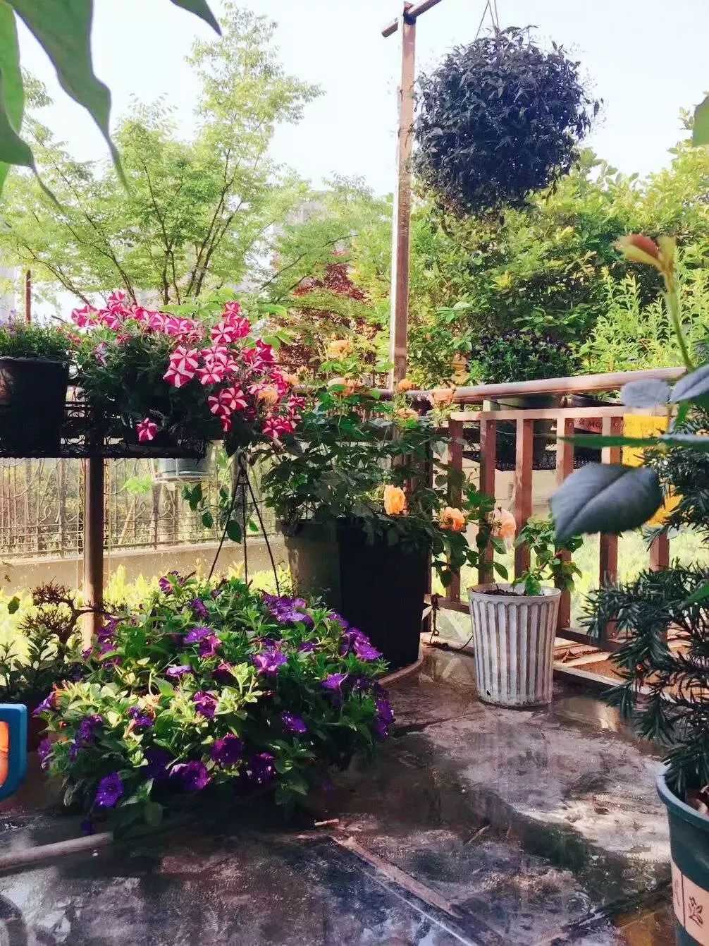 打造美好幸福的家,打造一片天地