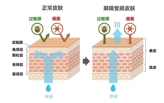 618大促孕妈必买,618哪些母婴产品值得入手