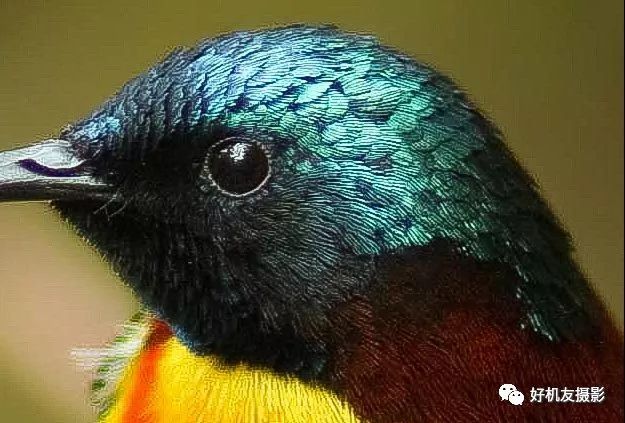 拍出的效果没有实物效果,拍出质感照片