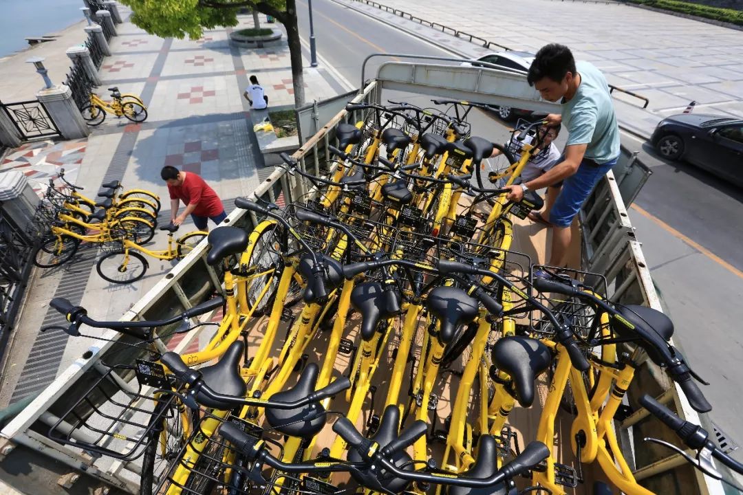 ofo的终场,ofo最后的结局