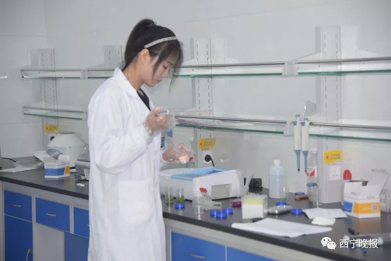 西宁市城中区老年幸福食堂,西宁市城北区有爱老幸福食堂吗