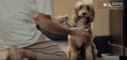 我终于战胜了抑郁症,感谢医生治好了抑郁症