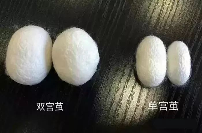 蚕丝被不盖怎么处理,盖蚕丝被的好处还是坏处
