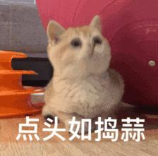 微商招代理被骗,揭秘微商招代理骗局