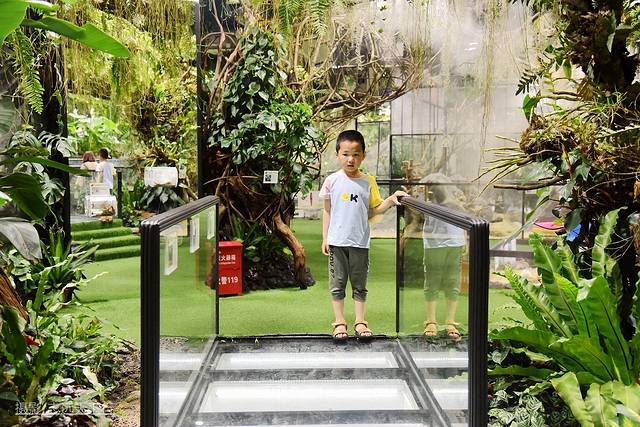 厦门最值得带孩子去玩的景点,带孩子厦门室内旅游景点推荐