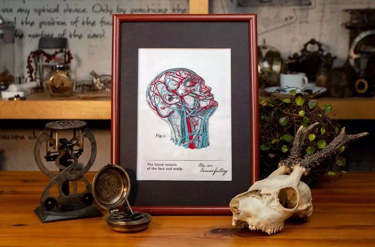 双11什么商品真正优惠,双11到底有哪些优惠