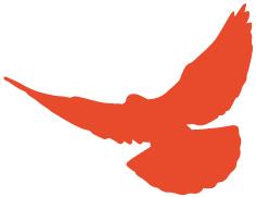 中国航天科工二院25所：力擎精导大旗谱写荣耀新篇