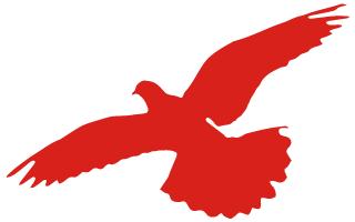 师父，我能打通任督二脉吗？|爱中医，零起点亦可报名