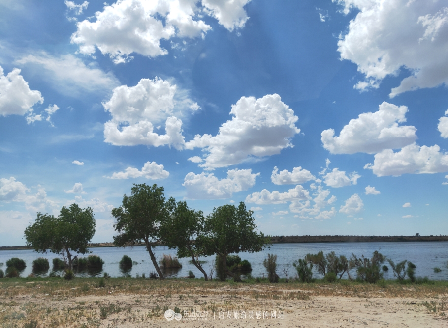 东道海子的视频,东道海子简介