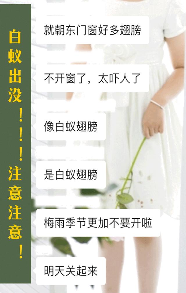 我家门框被白蚁吃掉我该怎么办,我家发现白蚁窝用什么药消灭