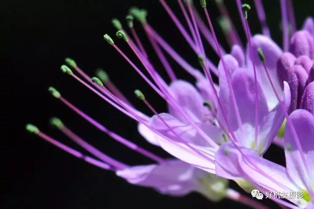摄影中的空白与虚实,摄影中的景深三个要素