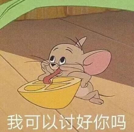 探路子|一秒穿越土耳其，这到底是什么神仙下午茶